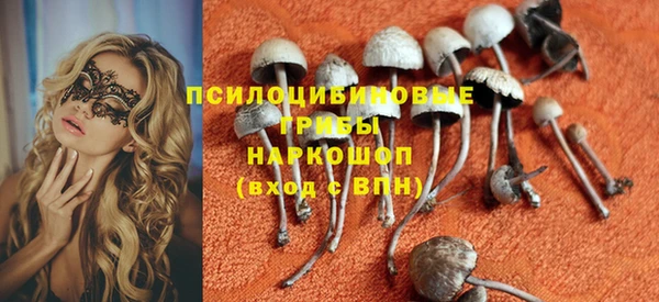 сатива Зеленодольск