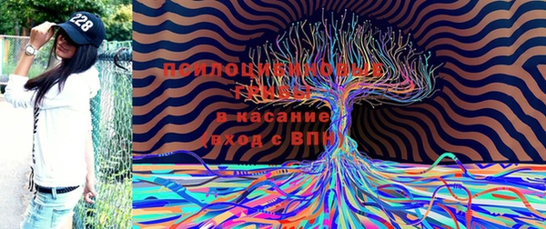 ECSTASY Зеленокумск