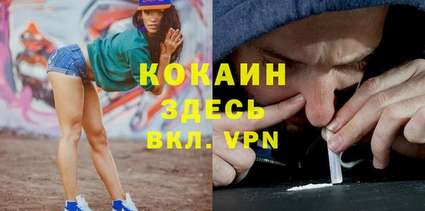 трава Инта