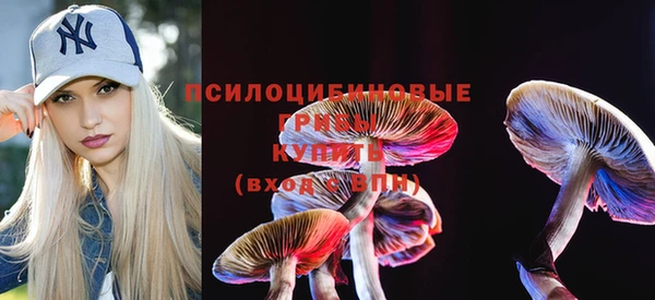 ECSTASY Зеленокумск