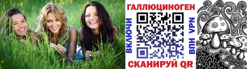 Купить где  Благодарный  Псилоцибиновые грибы GOLDEN TEACHER 
